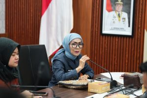 paparan Plt.Bidang PIP Rosa LInda,SH,MH